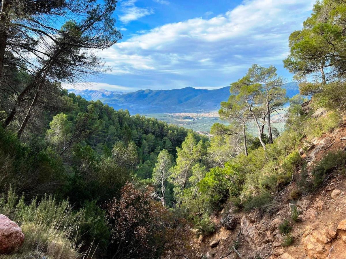 Casa Rural Puente Del Segura Elche de la Sierra Exteriör bild