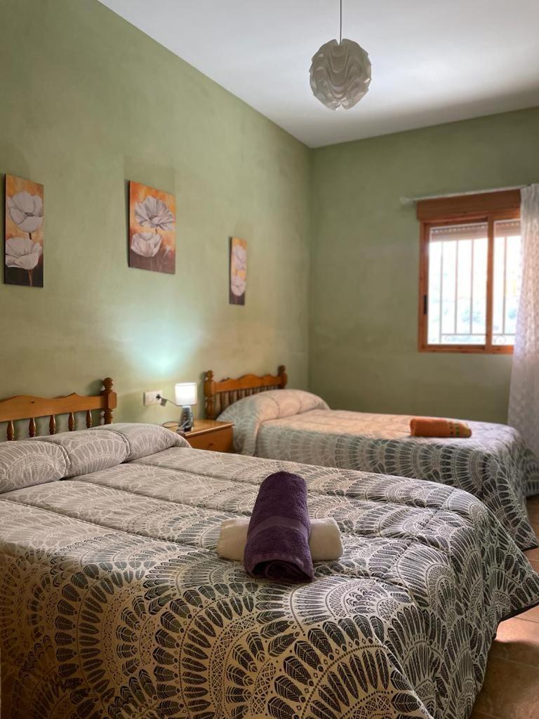 Casa Rural Puente Del Segura Elche de la Sierra Exteriör bild