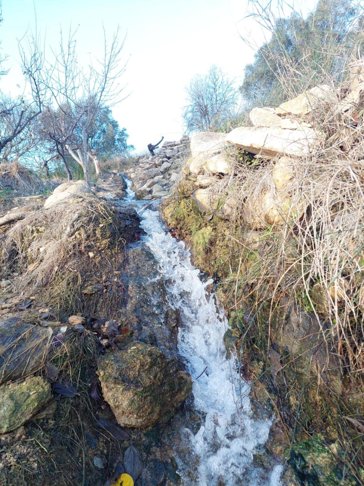 Casa Rural Puente Del Segura Elche de la Sierra Exteriör bild