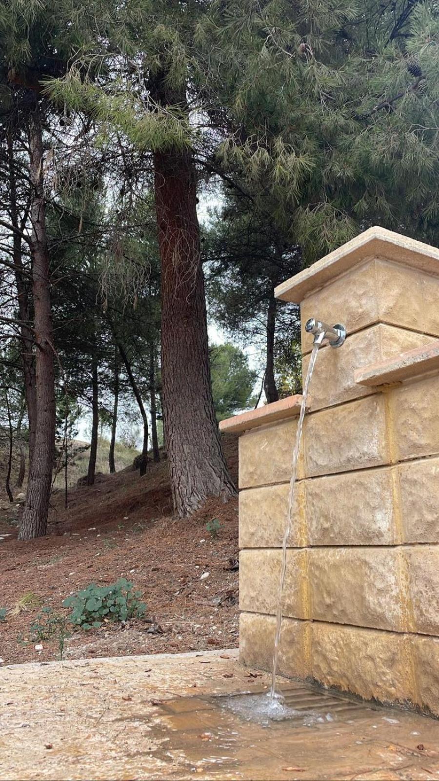 Casa Rural Puente Del Segura Elche de la Sierra Exteriör bild
