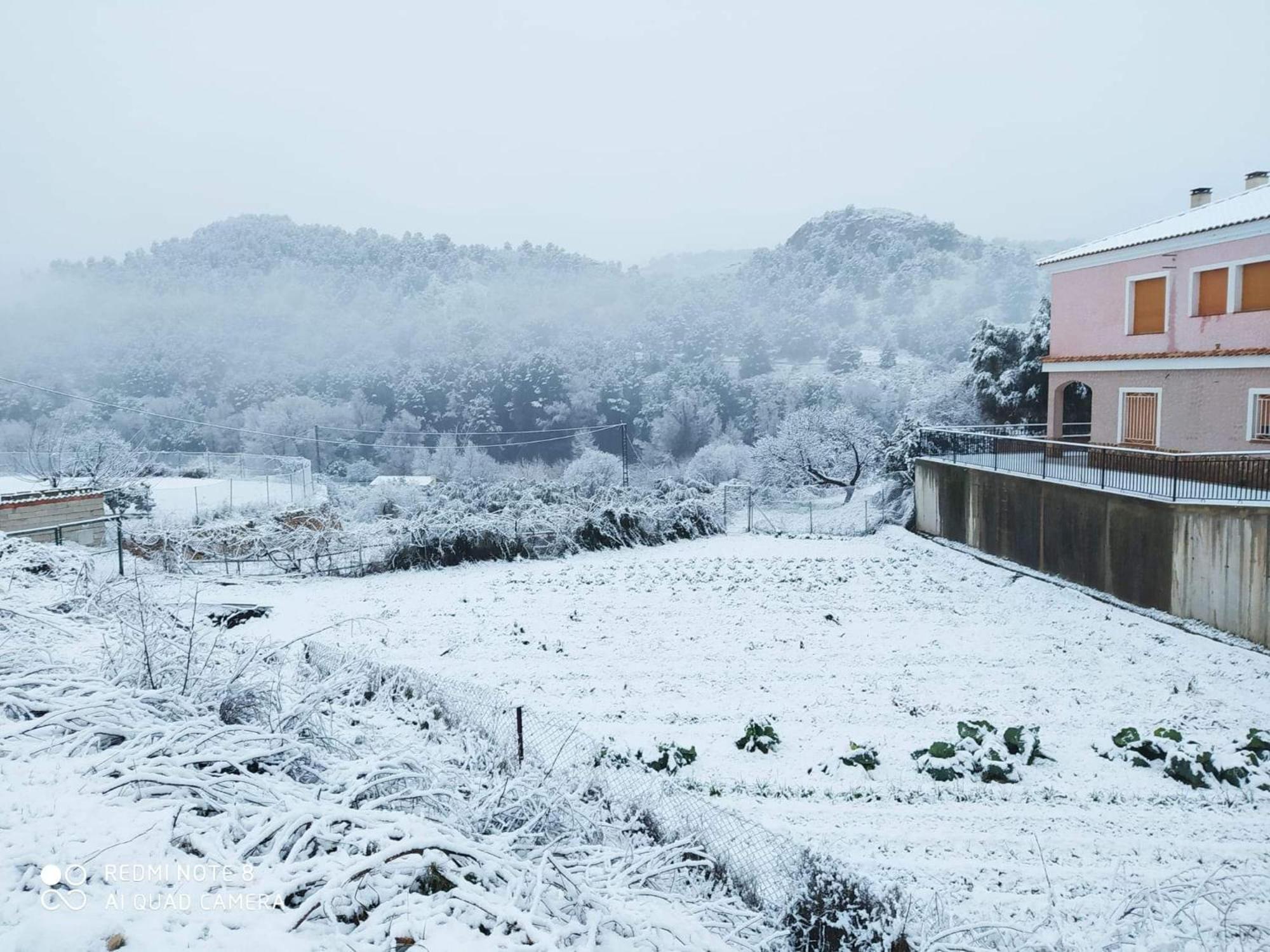 Casa Rural Puente Del Segura Elche de la Sierra Exteriör bild