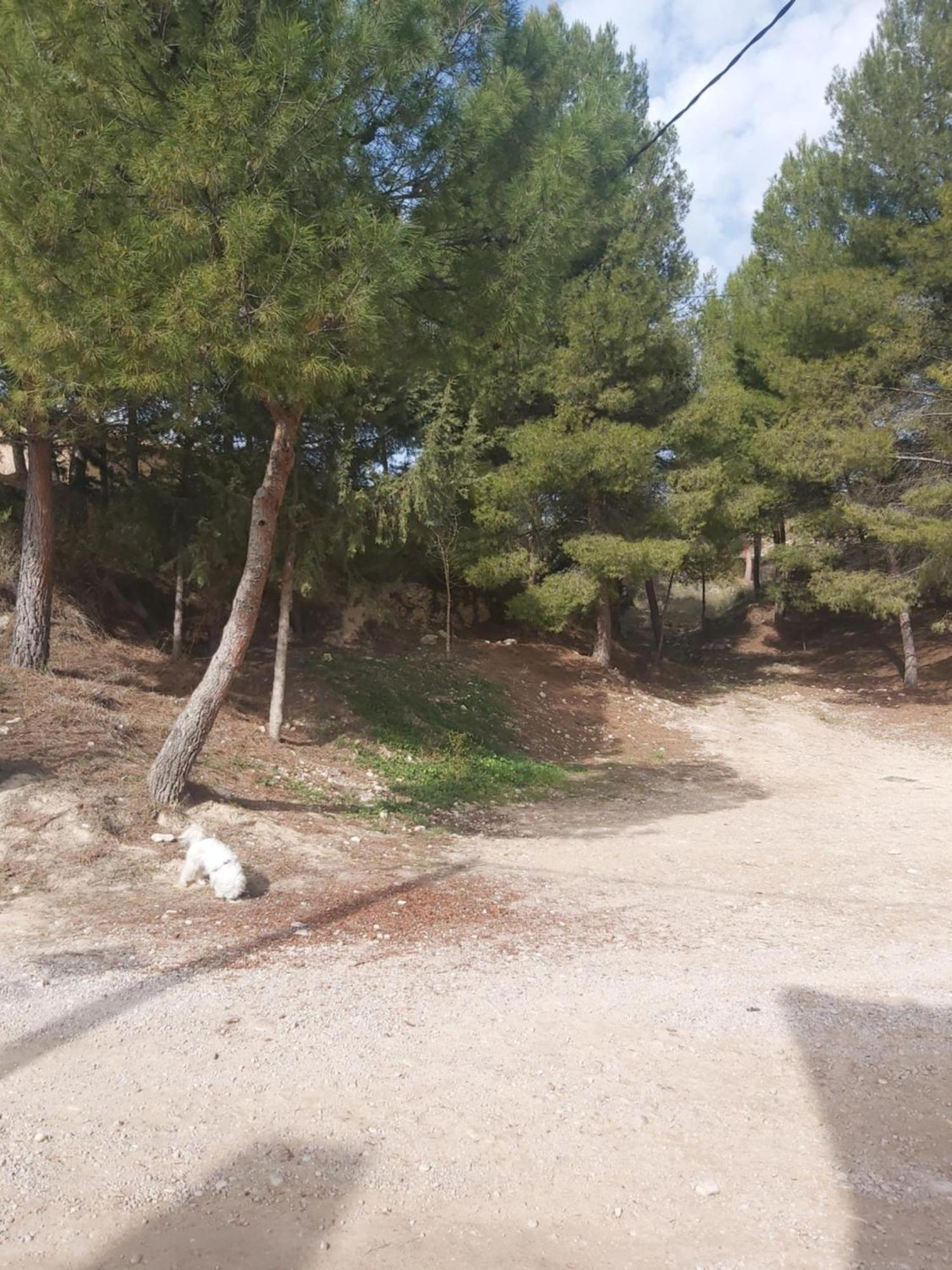 Casa Rural Puente Del Segura Elche de la Sierra Exteriör bild