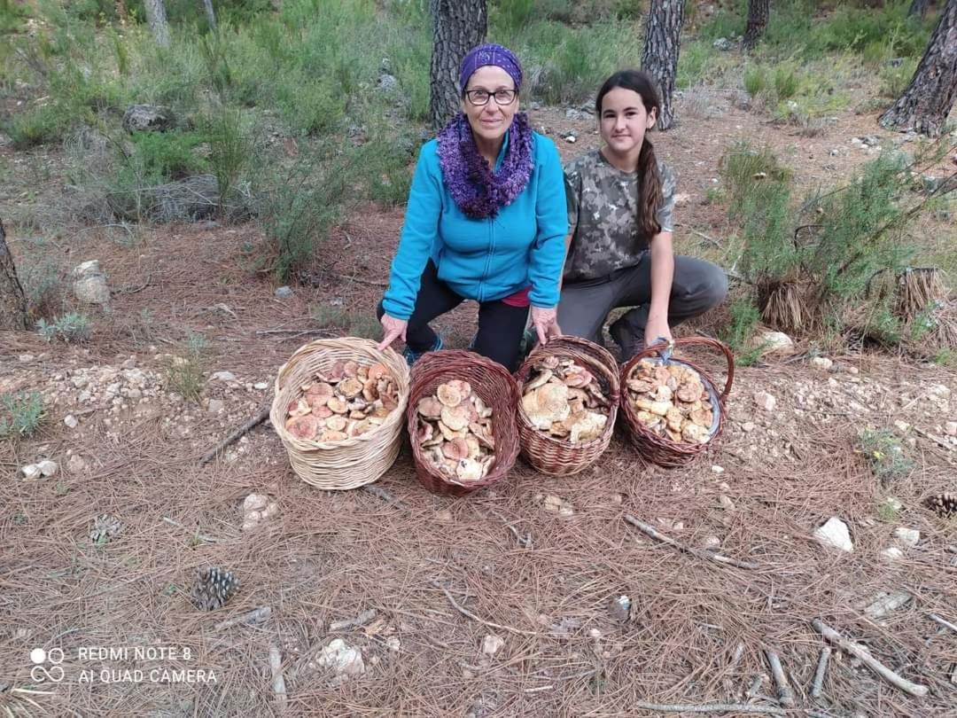 Casa Rural Puente Del Segura Elche de la Sierra Exteriör bild